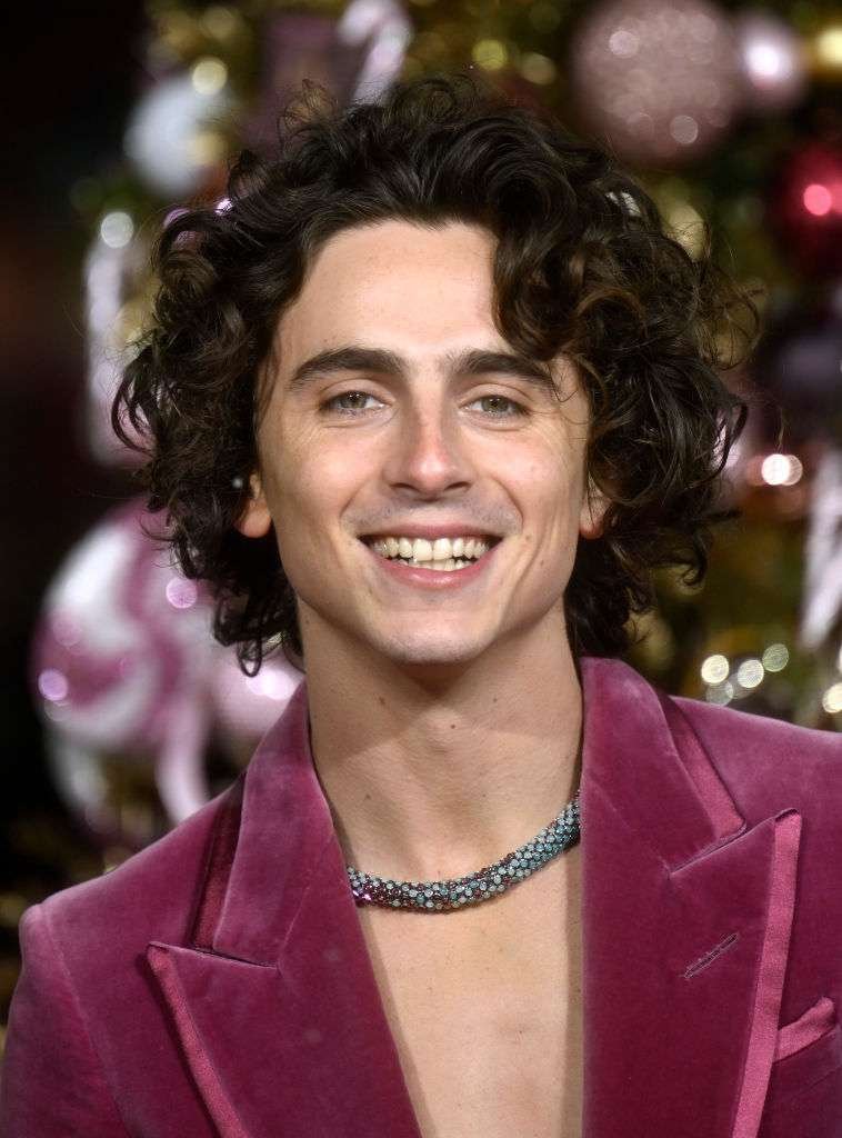 Timothee Chalamet Cartier